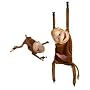 Marshall Hanging Monkey Ferret Hammock