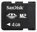 31 W6AanTuL. SL160  Sandisk 4GB M2 Memory Stick Micro Memory Card