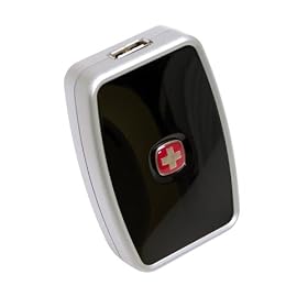 Click here to buy Swiss Gear Battery Bank by Wenger.