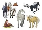 Horses Temporary Tattoo