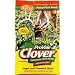 Pro-Vide Clover Chicory Forage, 2 Lbs