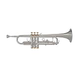 Blessing 1460 Intermediate Bb Trumpet in Silver with Gold trim