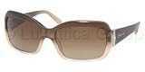 Sunglasses Bvlgari BV8052B 511513 BROWN GRADIENT MEAT BROWN GRADIENT