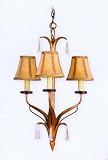 Captiva Three Light Chandelier