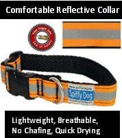 Spiffy Dog Collar | Orange Reflective