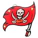 Flashing NFL Pin/Pendant - Tampa Bay Buccaneers