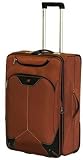 Wenger Swiss Army Andes Collection 26 Luggage Upright