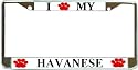 I Love My Havanese Paw Prints Dog Chrome Metal License Plate Frame Holder