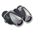 Olympus 10x21 DPC-I Fernglas Silber mit Tasche
