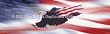Window Graphic - 20x65 Wings of Freedom Flag Window Graphics Patriotic
