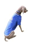 Chelsea F.C. Dog Shirt Large
