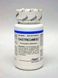 Gastricumeel - 100 - Tablet