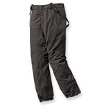 Patagonia Men's Speed Ascent Pants