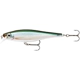 Rapala BX Minnow 10 Fishing Lure