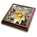 Nipple Cactus flower.(Mammillaria dioica).Anza-Borrego Desert State Park, California - 8x8 Trivet With 6x6 Ceramic Tile