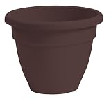 Akro-Mils CNA08000E21 Caribbean Pot, Chocolate, 8-Inch