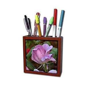 WhiteOak Photography Floral Prints - Soft Pink Peony Flower - Tile Pen Holders-5 inch tile pen holder