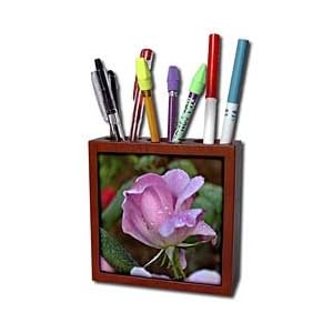 WhiteOak Photography Floral Prints - Soft Pink Peony Flower - Tile Pen Holders-5 inch tile pen holder