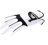 �L���X�R SF-615R �S���t�O���[�u