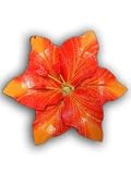 Christmas Holiday Tree Ornament Variegated Star Lily Flower Red & Orange of Bali Albasha Wood