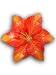 Christmas Holiday Tree Ornament Variegated Star Lily Flower Red & Orange of Bali Albasha Wood