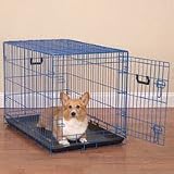 Single Door Blue Splash Metal Wire Economy Dog Crate medium large- 36' length x 22.5' width x 25' height