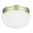 Westinghouse Light A 66329 Ceiling Fixture