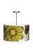 Thomas Paul Lighting Medium Drum Pendant Lamp - Botany Grass
