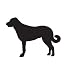 Herding Dog Pet Anatolian Shepherd Dog Car Truck Vehicle Bumper Helmet Decal Sticker Wall Art Laptop Design Skin Stickers