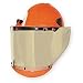 W H Salisbury Pro-Shield Arc Flash Faceshield And Hard Cap
