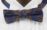 Florida Bow Tie - University of Florida Blue Pre-Tied Bowtie with Gator Logo
