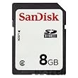 SanDisk 8 GB Class 2 SDHC Flash Memory Card SDSDB-8192 (Bulk Packaging)