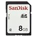 SanDisk 8 GB Class 2 SDHC Flash Memory Card SDSDB-8192 (Bulk Packaging)