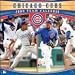 MLB Chicago Cubs 2009 Calendar