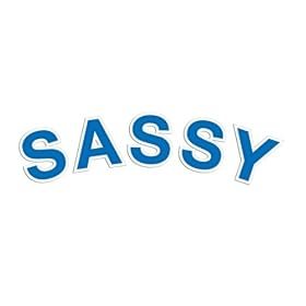 Terminology Iron-On Words-Sassy