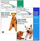 Capstar Blue, 2-25 lbs, 6 Pack