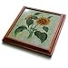 Sunflowers - sunflower, tournesols, still life, helianthus annuus, flowers, flower, petals - 8x8 Trivet With 6x6 Ceramic Tile