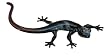 Gecko