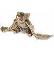 Plush Vampire Bat Cuddlekin 12"
