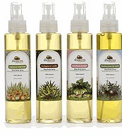 Shea Terra Organics Shea & Vitamin E Body Spray