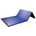4' x 8' Ultimat&REG; with 1' Panels and 2S Fasteners (Blue)