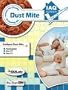 Dust Mite Test Kit