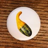 FOOD DECORATIVE SQUASH VEGGIES DRAWER PULLS KNOBS