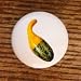 FOOD DECORATIVE SQUASH VEGGIES DRAWER PULLS KNOBS
