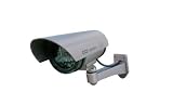 from ChargerBuy ChargerBuy Waterproof Imitation Fake / Dummy Security CCTV Outdoor /Indoor Camera With Flashing LED Light (Silver)