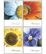 Scripture Greeting Cards-KJV-Boxed-Thank-you - "Many Thanks"