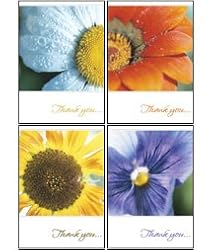 Scripture Greeting Cards-KJV-Boxed-Thank-you - "Many Thanks"