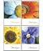 Scripture Greeting Cards-KJV-Boxed-Thank-you - "Many Thanks"