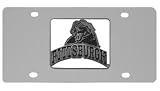 Pitt Pittsburg Panthers Stainless License Plate