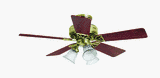Hunter Fan 20436 42 Ceiling Fan with Light
